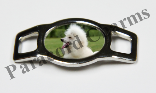 Poodle #007  - Click Image to Close