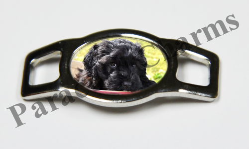 Portuguese Water Dog #002