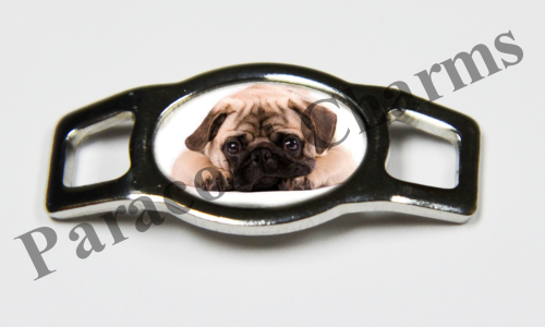 Pug #001  - Click Image to Close