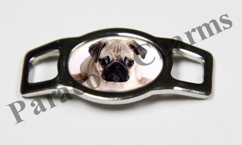 Pug #002  - Click Image to Close