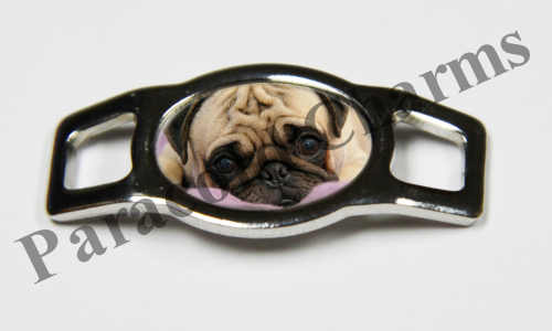 Pug #003  - Click Image to Close