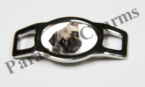 Pug #005  - Click Image to Close