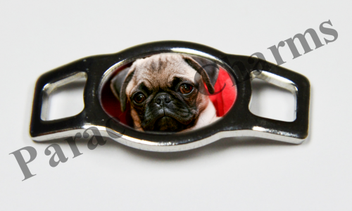 Pug #006  - Click Image to Close