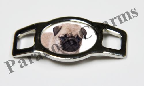 Pug #008