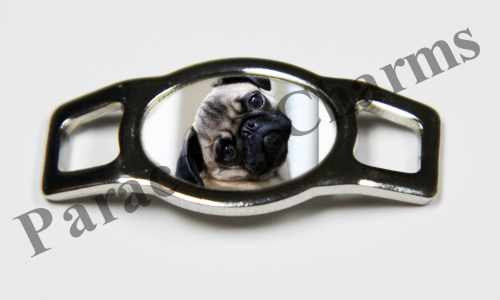 Pug #009  - Click Image to Close