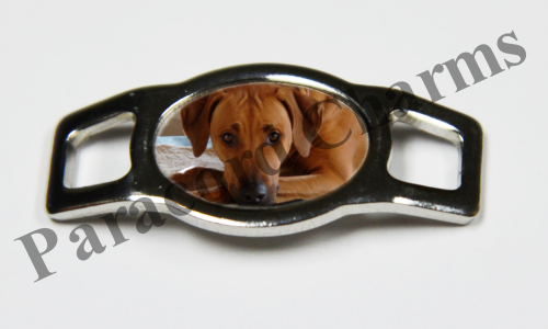 Rhodesian Ridgeback #002  - Click Image to Close