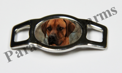 Rhodesian Ridgeback #003