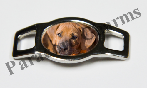 Rhodesian Ridgeback #004