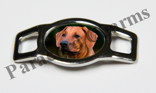 Rhodesian Ridgeback #006