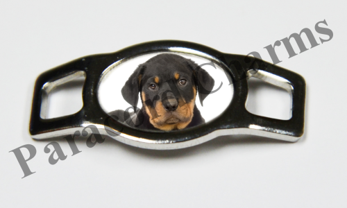 Rottweiler #002  - Click Image to Close