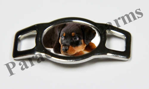 Rottweiler #003  - Click Image to Close