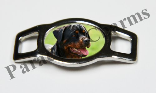 Rottweiler #005  - Click Image to Close