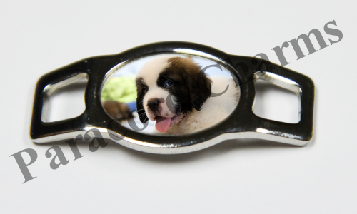 Saint Bernard #004  - Click Image to Close