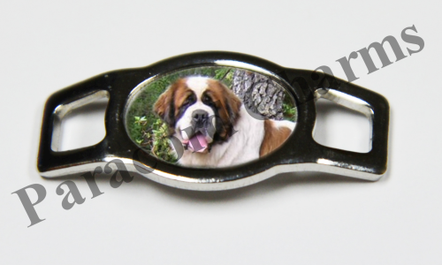 Saint Bernard #005