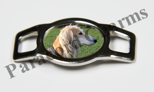 Saluki #007  - Click Image to Close