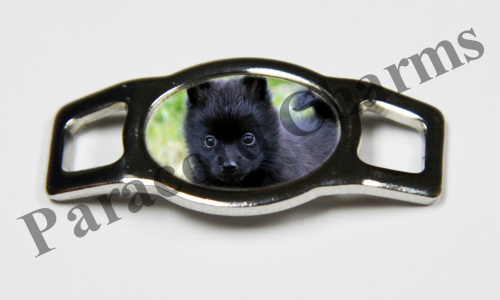 Schipperke #001  - Click Image to Close