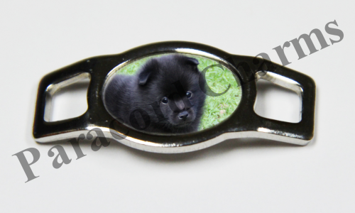 Schipperke #002  - Click Image to Close