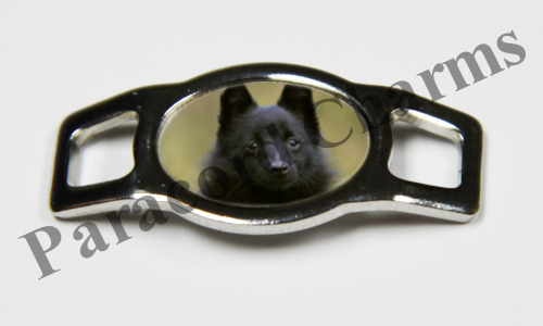 Schipperke #006