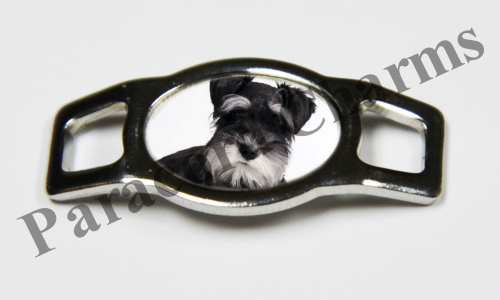 Schnauzer #005  - Click Image to Close