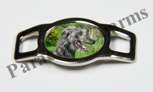 Scottish Deerhound #001