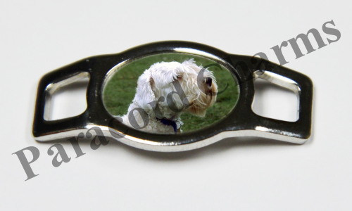 Sealyham Terrier #002