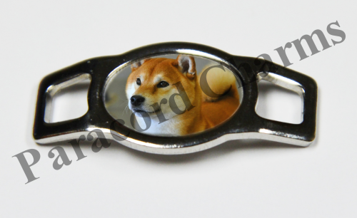 Shiba Inu #003