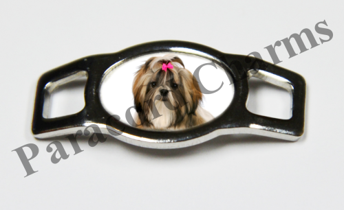 Shih Tzu #003