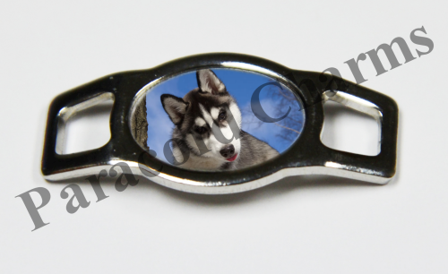 Siberian Husky #003  - Click Image to Close