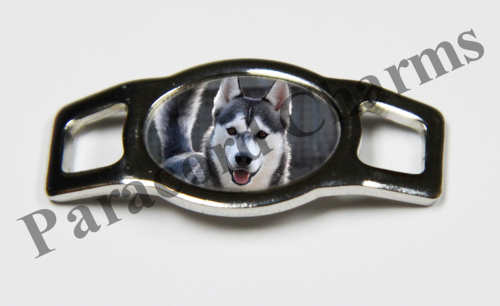 Siberian Husky #009  - Click Image to Close