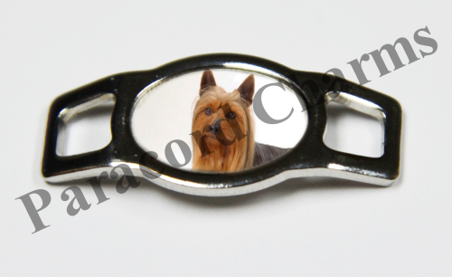 Silky Terrier #003