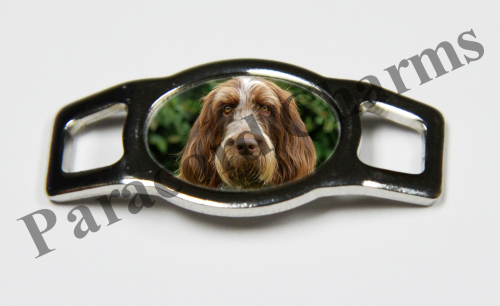 Spinone Italiano #001  - Click Image to Close