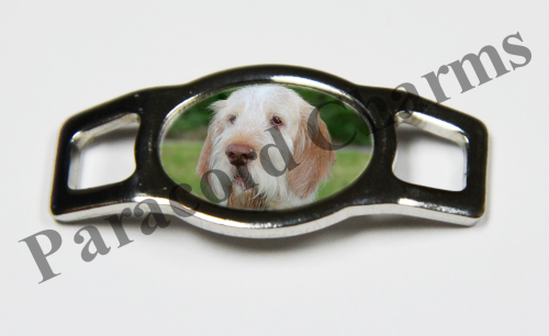 Spinone Italiano #003  - Click Image to Close