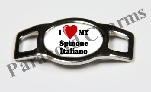 Spinone Italiano #010