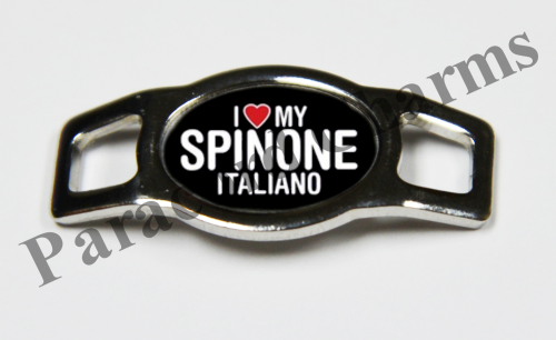 Spinone Italiano #011  - Click Image to Close