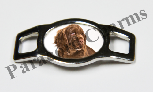 Sussex Spaniel #005