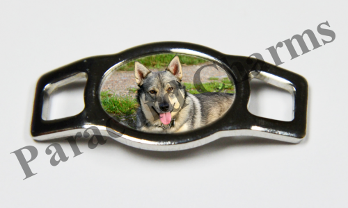 Swedish Vallhund #004