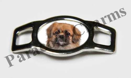 Tibetan Spaniel #001