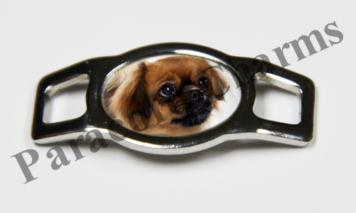 Tibetan Spaniel #005