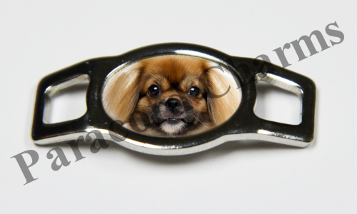 Tibetan Spaniel  #006  - Click Image to Close