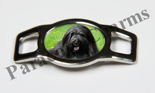 Tibetan Terrier  #001  - Click Image to Close