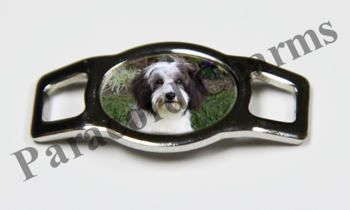 Tibetan Terrier  #002  - Click Image to Close