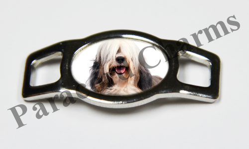 Tibetan Terrier #004