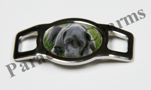 Weimaraner  #002  - Click Image to Close