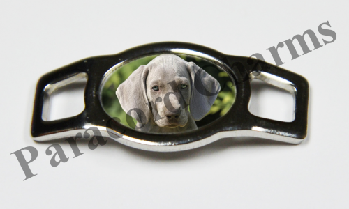 Weimaraner #004