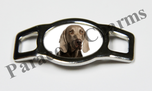 Weimaraner #005