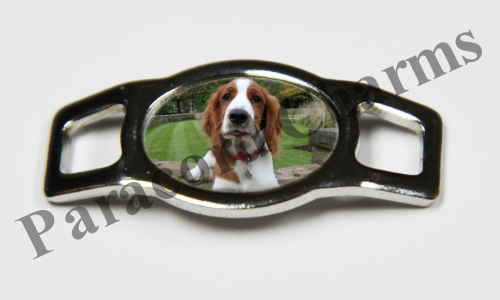 Welsh Springer Spaniel  #001  - Click Image to Close