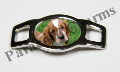 Welsh Springer Spaniel  #004  - Click Image to Close