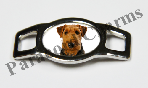 Welsh Terrier #001  - Click Image to Close