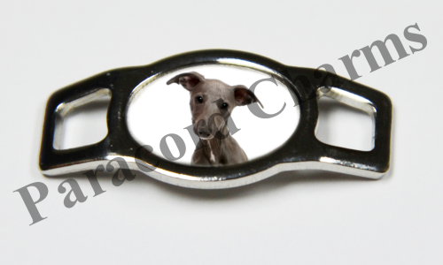 Whippet #001  - Click Image to Close