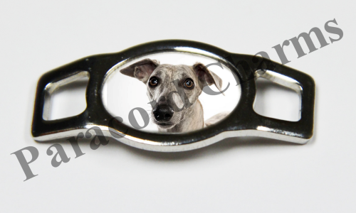 Whippet #003  - Click Image to Close